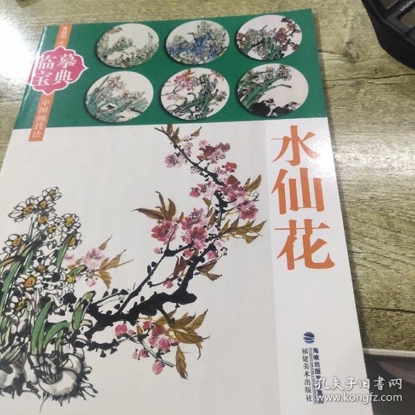 临摹宝典：水仙花