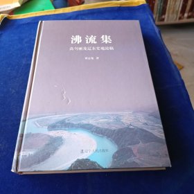 沸流集 高句丽及辽东史地论稿