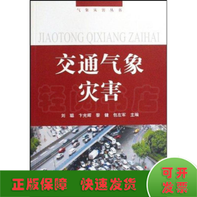 交通氣象災(zāi)害/氣象災(zāi)害叢書--