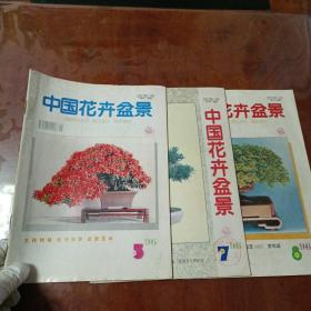 中国花卉盆景1996 5 7 8期（三本合售）