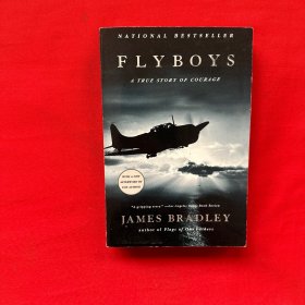 flyboys a true story of courage