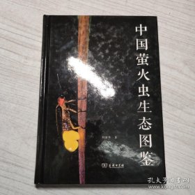 中国萤火虫生态图鉴