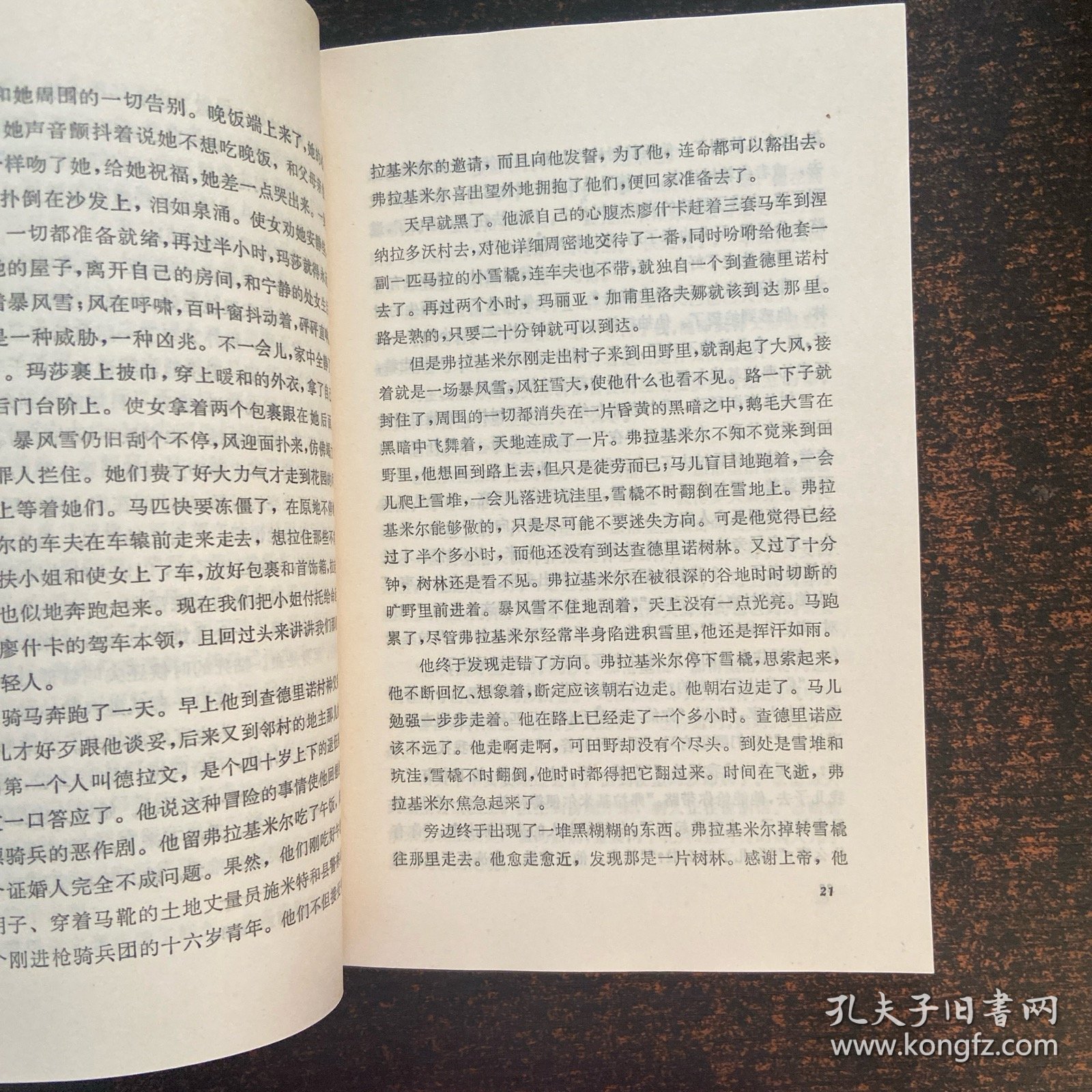 俄国短篇小说选 上册