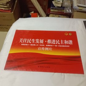 关注民生发展、推进民主和谐（宣传图片）8开铜版