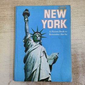 New York: A Picture Book To Remember Her By