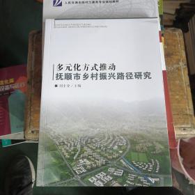 多元化方式推动抚顺市乡村振兴路径研究（全新未看）