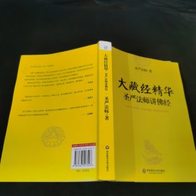 大藏经精华：圣严法师讲佛经.