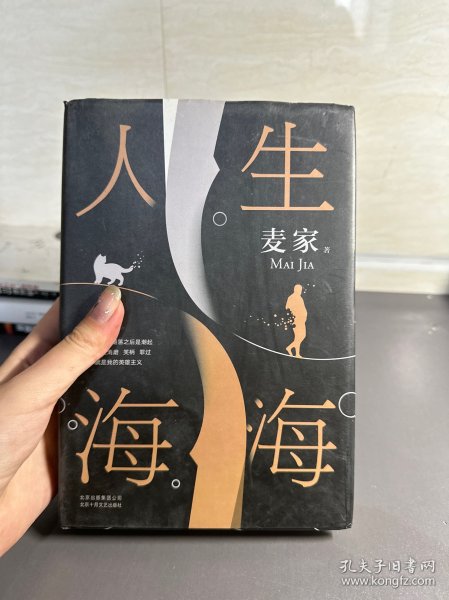 麦家：人生海海（茅盾文学奖得主麦家2019年强力之作）