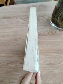 A17 “入世”与多元化国际市场