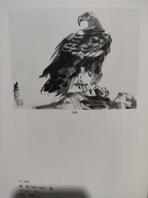 画页（散页印刷品）--国画---名家书画小品----浴牛图、鹰【黄胄】971