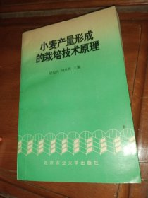 小麦产量形成的栽培技术原理