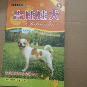 吉娃娃犬