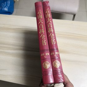 云南大百科全书 科学 教育卷 上下2册全（全新有塑封）