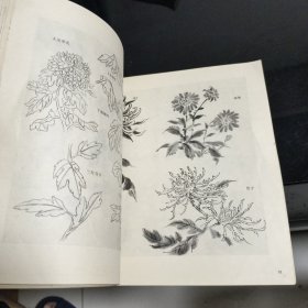 芥子园画谱新编·花鸟兽篇