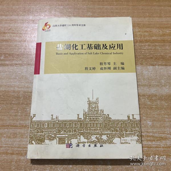 山西大学建校110周年学术文库：盐湖化工基础及应用