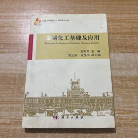 山西大学建校110周年学术文库：盐湖化工基础及应用