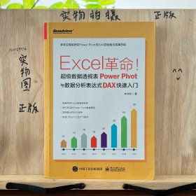 Excel革命！超级数据透视表PowerPivot与数据分析表达式DAX快速入门(博文视点出品)