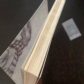 看见真相的男孩