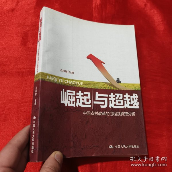 崛起与超越：中国农村改革的过程及机理分析