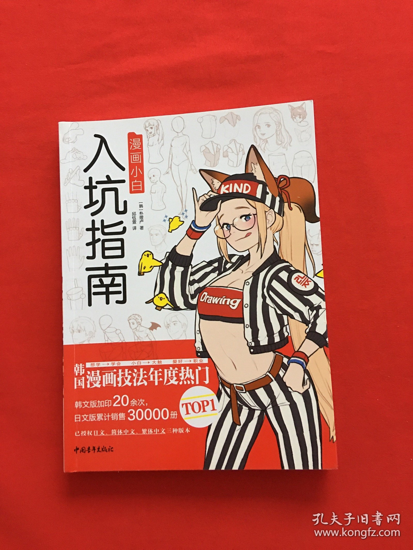 漫画小白入坑指南