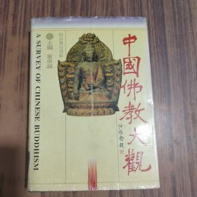 中国佛教大观 (上）馆藏