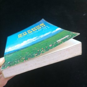 现代乡村景观旅游规划设计