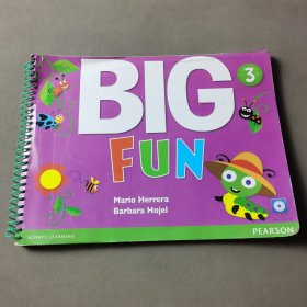 Big Fun（3） （英文）