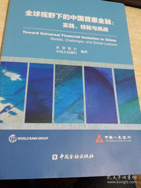 全球视野下的中国普惠金融：实践、经验与挑战