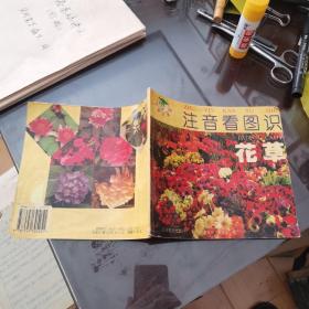 注音看图识花草