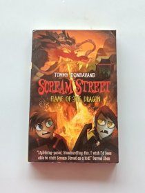 Flame of the Dragon（Scream Street）平裝原版外文書(shū)