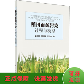 稻田面源污染过程与模拟