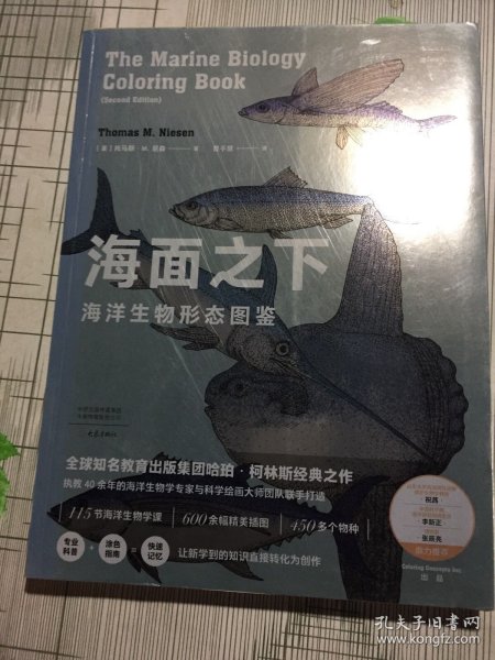 海面之下：海洋生物形态图鉴（一本可以涂色的海洋科普书）