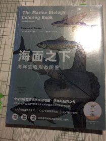 海面之下：海洋生物形态图鉴（一本可以涂色的海洋科普书）