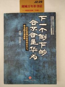 下一个倒下的会不会是华为：任正非的企业管理哲学与华为的兴衰逻辑T05111