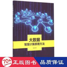 地理信息系统理论与应用丛书：大数据智慧计算原理方法