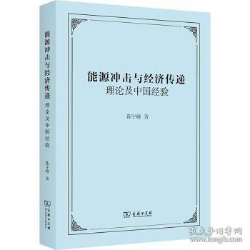 能源冲击与经济传递：理论及中国经验