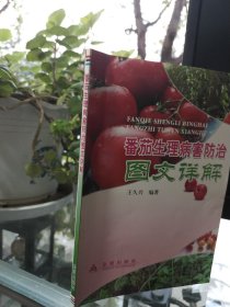 番茄生理病害防治图文详解