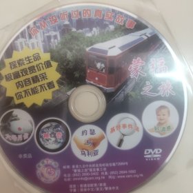 蒙福之旅 DVD 裸碟1张