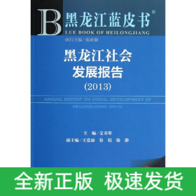 黑龙江社会发展报告(2013版)