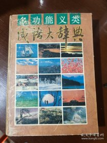 多功能义类成语大辞典