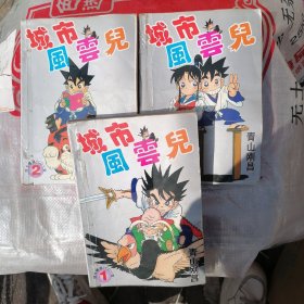 漫画版城市风云儿1—3原名（九龙珠）