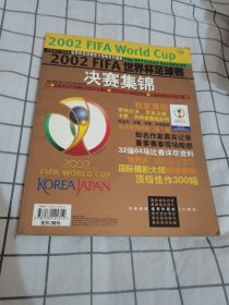 2002FIFA世界杯足球赛决赛集锦