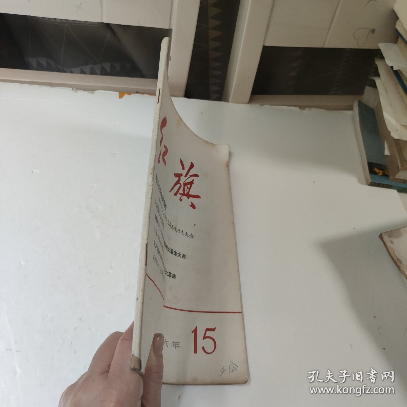 红旗(1966年第十五期)