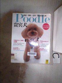 Poodle 贵宾犬