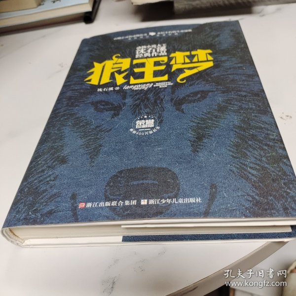 动物小说大王沈石溪经典作品·荣誉珍藏版：狼王梦