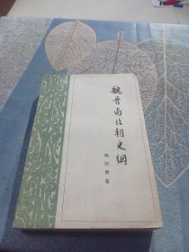 魏晋南北朝史纲