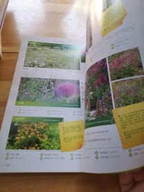 景观花卉种子及应用实例图册