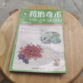 中医灵验疗法丛书：药治奇术