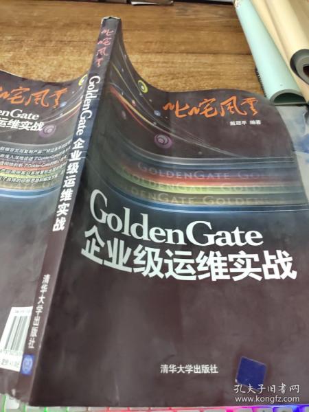 叱咤风云：GoldenGate企业级运维实战