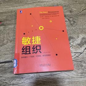 敏捷组织：如何建立一个创新、可持续、柔性的组织（原书第2版）